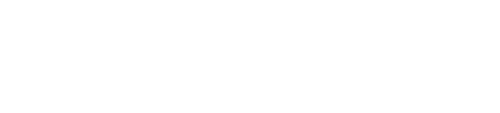 light logo